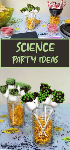 science party ideas for kids that are fun and easy to do with the kids at school