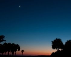 the sun is setting behind palm trees and moon