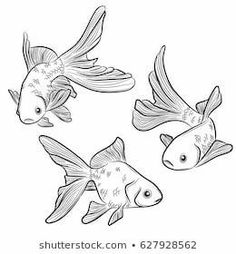 three goldfish swimming in the water