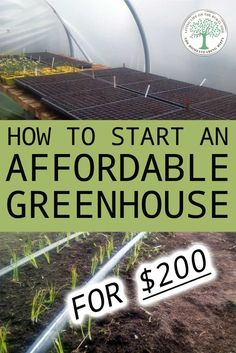 a greenhouse with the words how to start an afforable greenhouse for $ 200