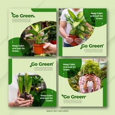 four square brochures with green plants and people holding potted plants in them