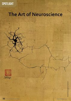 the art of neuroscience by scott light, with an image of a tree