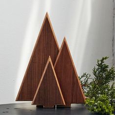 two wooden triangles sitting on top of a table next to green plants and a white wall