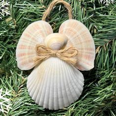 a seashell ornament hanging from a christmas tree