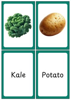 four cards with pictures of different vegetables and their names in green frames, including broccoli, cauliflower, kale, potato