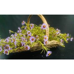 a basket filled with purple flowers sitting on top of a table