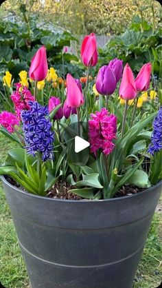 a pot filled with lots of purple and yellow flowers