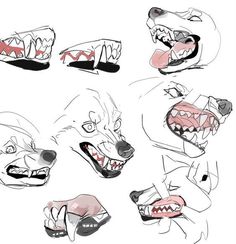 an animal's head with different teeth and fangs