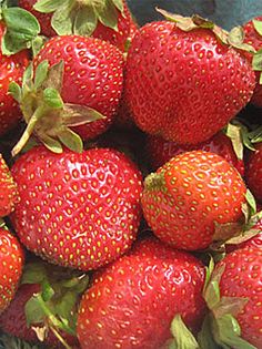 a bunch of red strawberries in a bowl