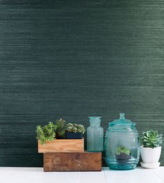 three vases with plants in them sitting on a table next to each other, against a dark green wall