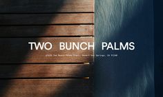 two bunch palms sitting on top of a wooden table next to a wall with the words two bunch palms written across it