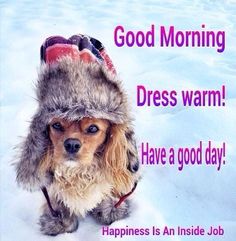 a small dog wearing a hat and boots in the snow with words good morning dress warm have a good day happiness is an inside job