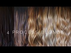 Stages Of Blonde From Brown, Stages Of Going Blonde From Dark Brown, Blonde Process From Brown, Stages Of Going Blonde, Blonding Process From Brown, Process Of Going Blonde From Dark, Going From Dark To Light Hair Stages, Brunette To Blonde Process, Going Blonde From Brunette Stages