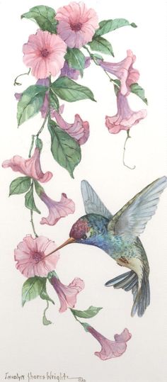 a painting of a hummingbird and pink flowers