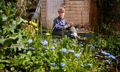 a young boy sitting on a chair in the middle of a garden with blue flowers