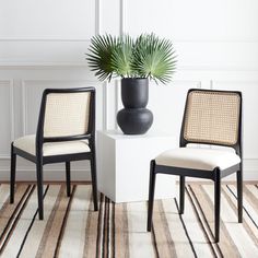 two chairs and a table with a potted plant on it in front of a white wall