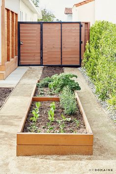 an outdoor garden area with raised beds and wooden fenced in gate behind the planter