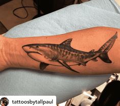 a man's arm with a shark tattoo on it