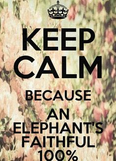 a poster with the words, keep calm because an elephant's faithful is 100 %