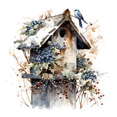 watercolor painting of bird house with blue berries and holly on the roof, isolated against white background