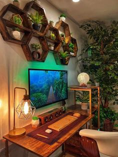 a desk with a computer monitor, keyboard and mouse on it in front of a potted plant