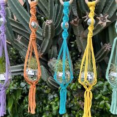 several different colored macrame hangings with mirrors on them and plants in the background