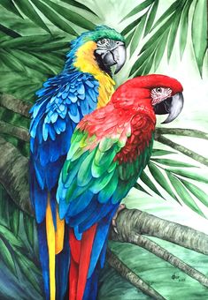 two colorful parrots sitting on top of a tree branch in front of green leaves