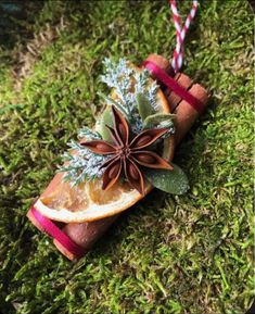 an ornament made out of orange slices and cinnamon sticks with star anisette on top