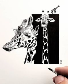 a drawing of two giraffes in black and white