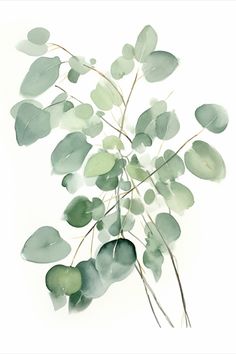 Watercolor eucalyptus wall art for farmhouse decor Eucalyptus Watercolor Painting, Eucalyptus Art, Greenery Art, Eucalyptus Painting, Watercolor Eucalyptus, Eucalyptus Watercolor, Botanical Home Decor, Printable Wall Art Bedroom Free Prints, Eucalyptus Photo