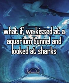 a tunnel with sharks swimming in it that says, what if we kissed at a aquarium tunnel and looked at sharks