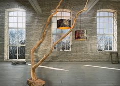 a tree that is standing in the middle of a room with two windows and a bench