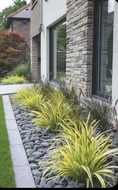 a house that has some plants in front of it and grass on the ground next to it