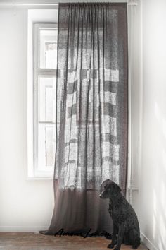 a dog sitting on the floor in front of a window with curtains hanging from it's sides