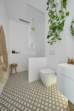 a bathroom with a plant hanging over the toilet and shower area, while another is in the background