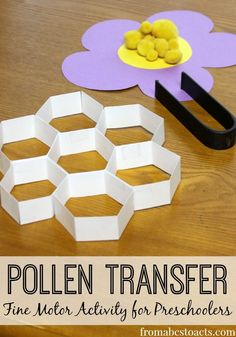 an image of a table with some paper flowers on it and the text pollen transferer