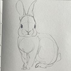 a pencil drawing of a rabbit sitting down