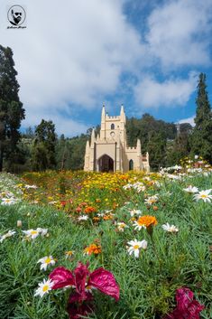 a castle in the middle of a field full of wildflowers and daisies