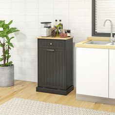 a kitchen with a sink, cabinet and potted plant on the floor next to it