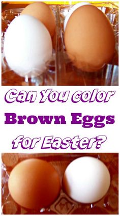 three brown eggs in plastic containers with the words can you color brown eggs for easter?