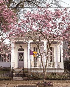 a tree with pink flowers in front of a white house that has purple shutters