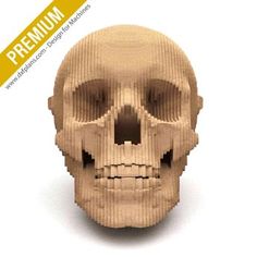 an image of a human skull made out of corrugated paper with the words premium printed on it