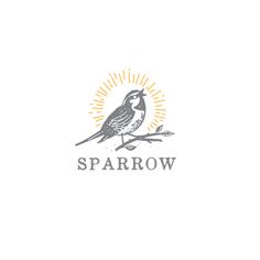 sparrow bird sitting on a branch with the word sparrow written in it's center