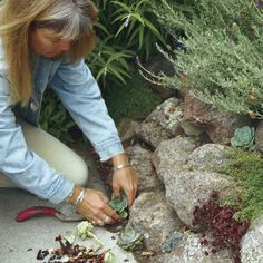 a woman kneeling down next to some rocks and plants in the dirt with her hands