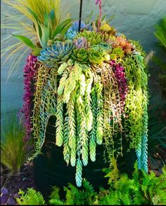 a potted plant with many different types of plants growing out of it's top