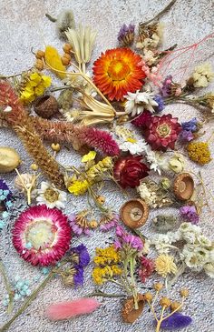 an arrangement of dried flowers and feathers on the ground