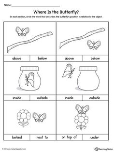 worksheet showing the different parts of a butterfly and its life cycle, which includes pictures