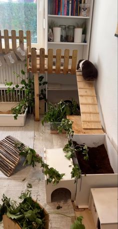 a cat house with plants growing in it