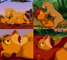 the lion king is laying down with his mouth open and two other lions are lying down