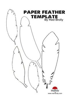 a paper feather template with three feathers on it